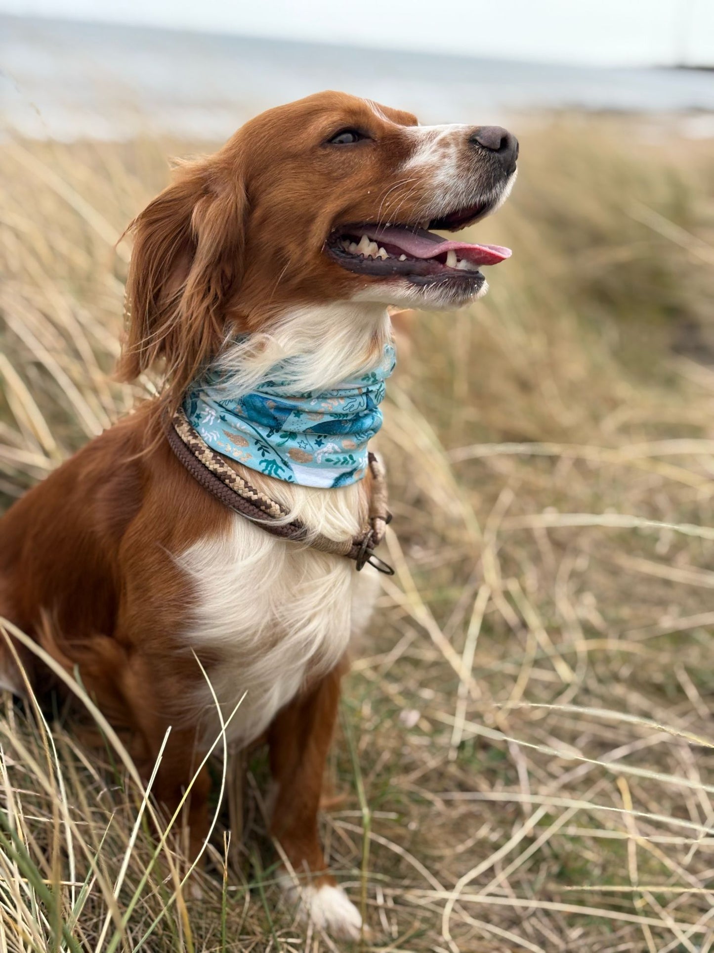 Manta Meadows Snood