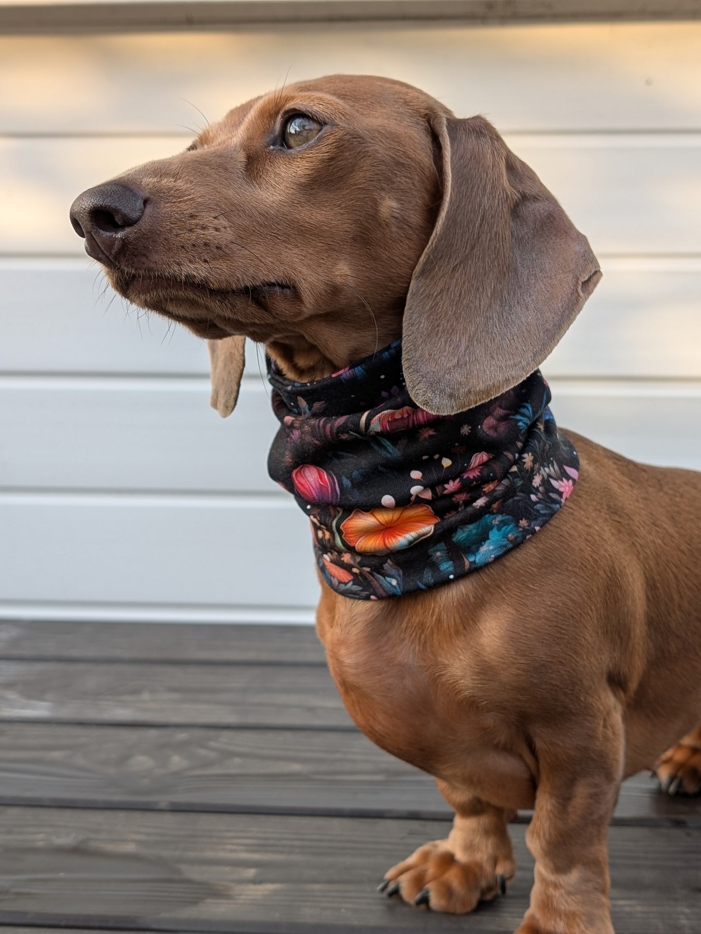 Moon Garden Snood