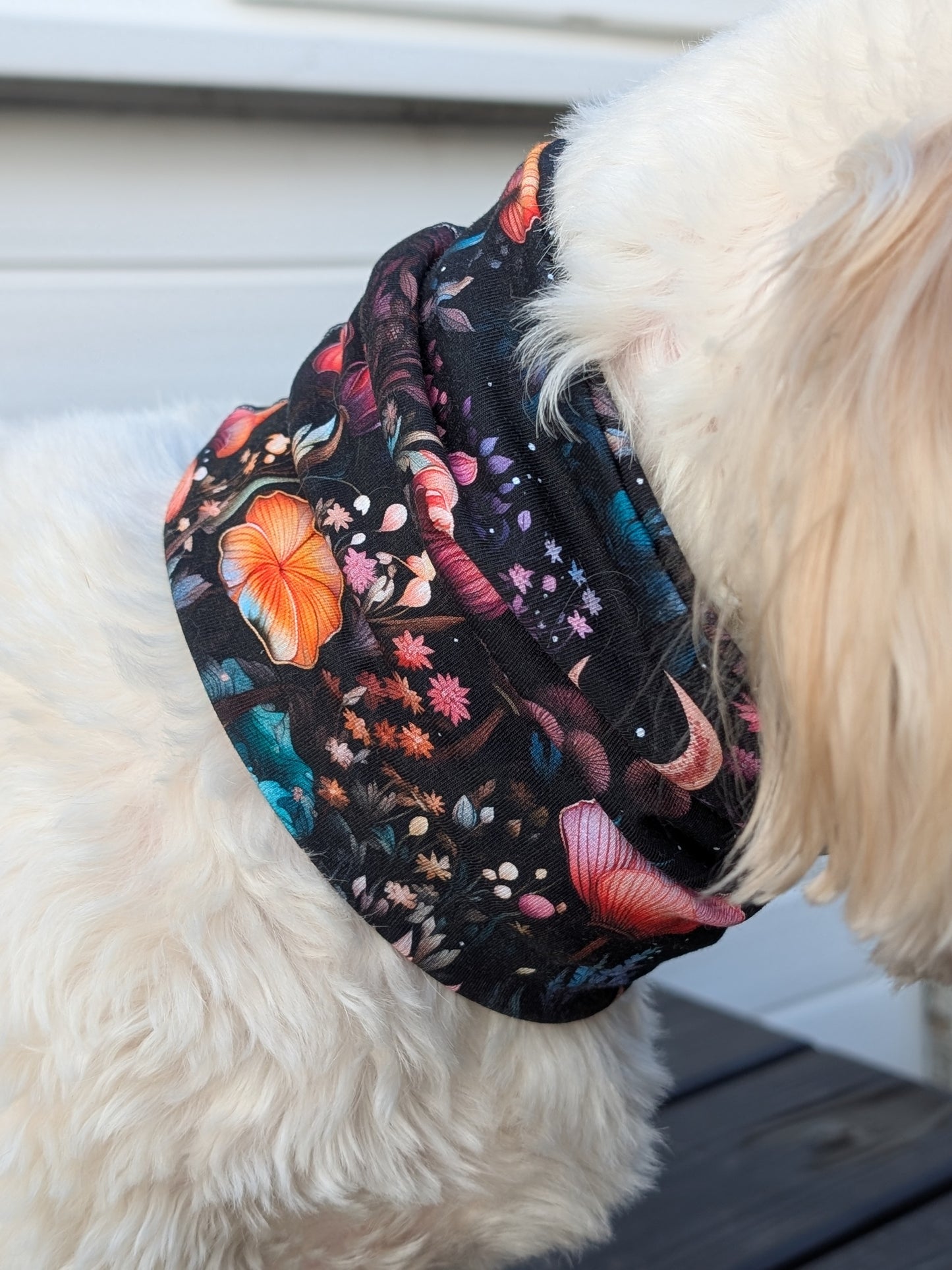 Moon Garden Snood