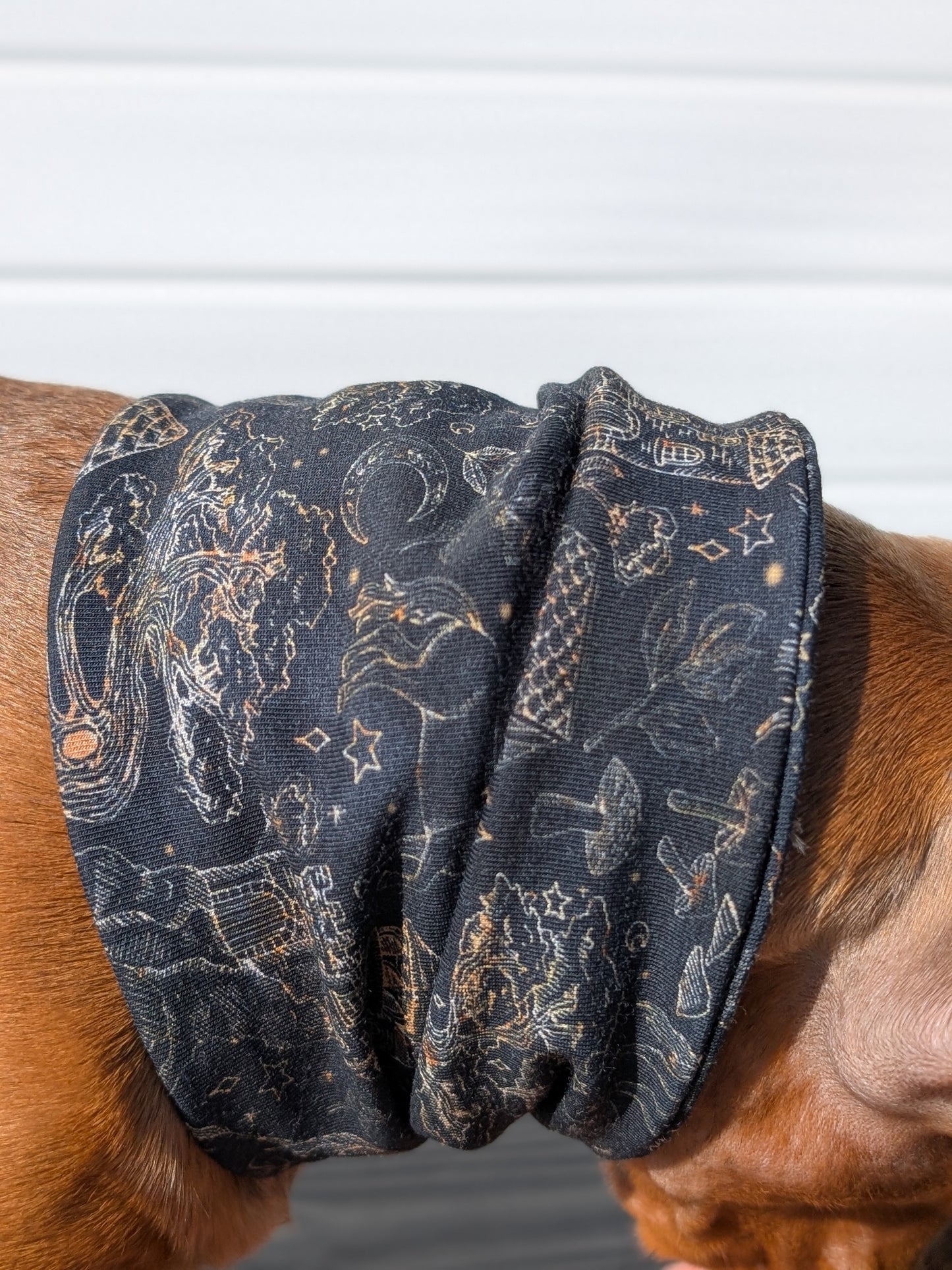 Enchanted Forest Snood