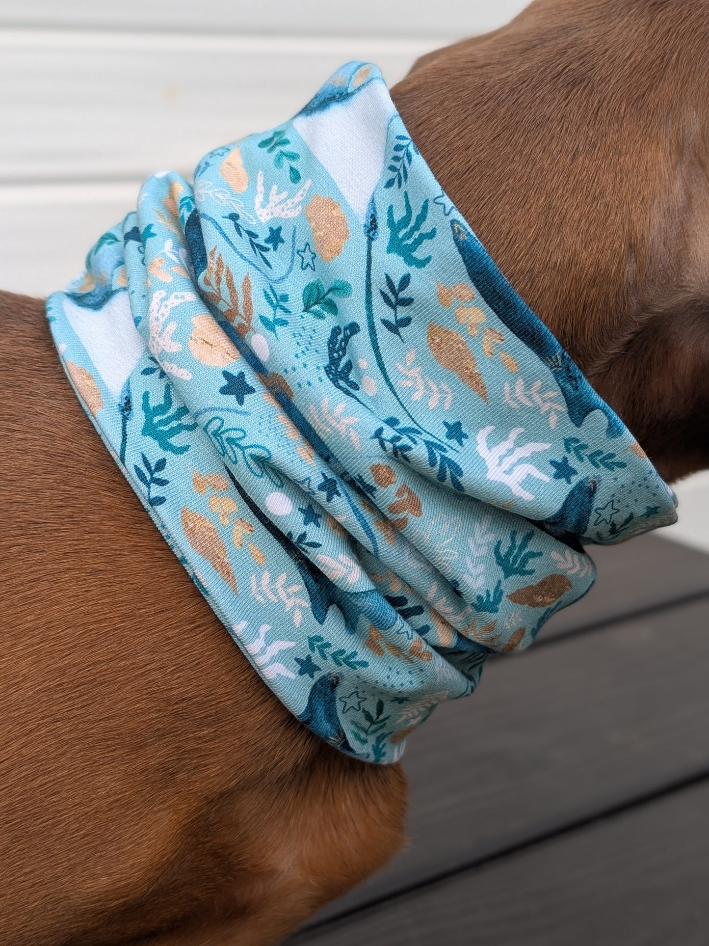 Manta Meadows Snood
