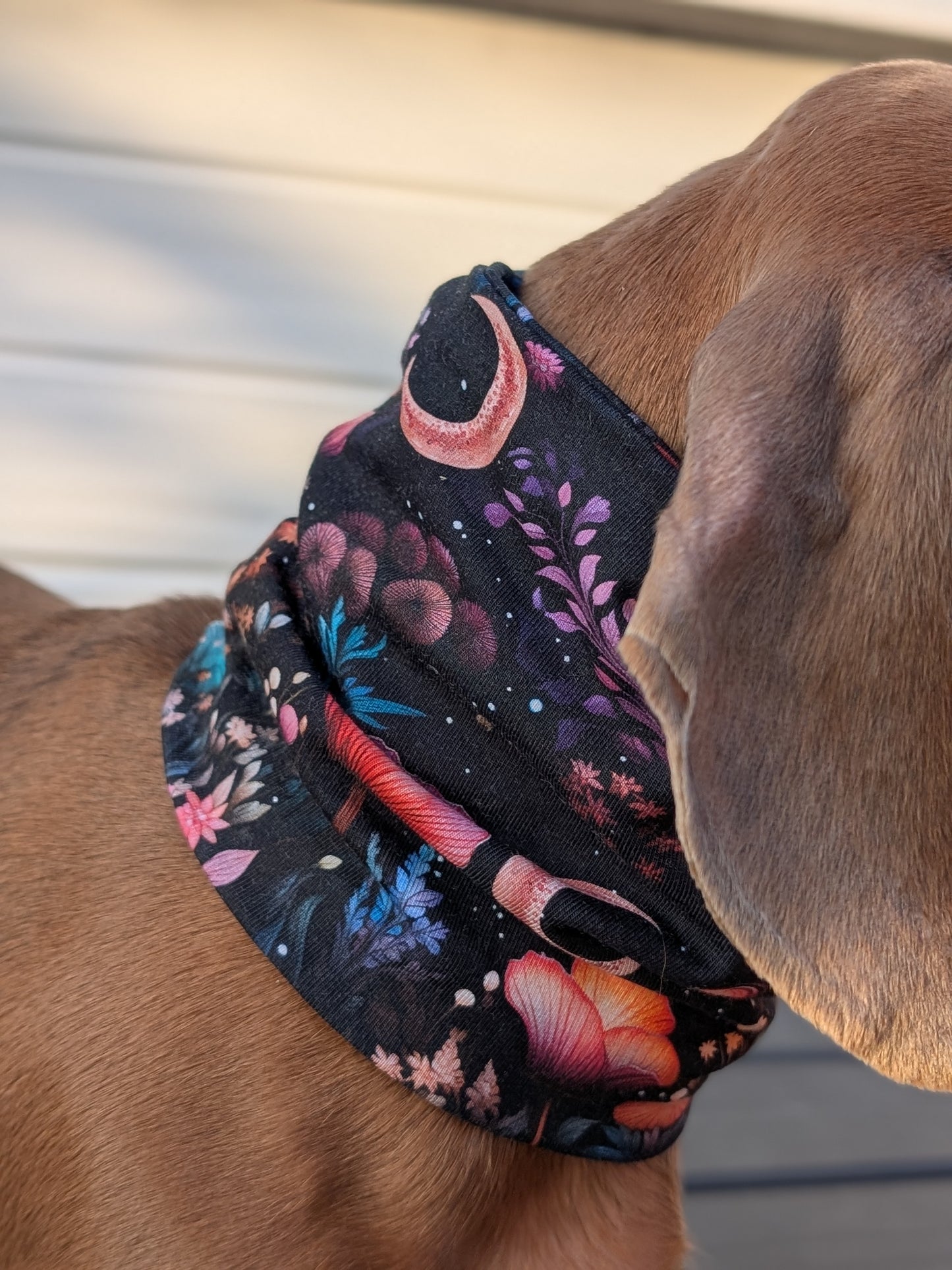 Moon Garden Snood