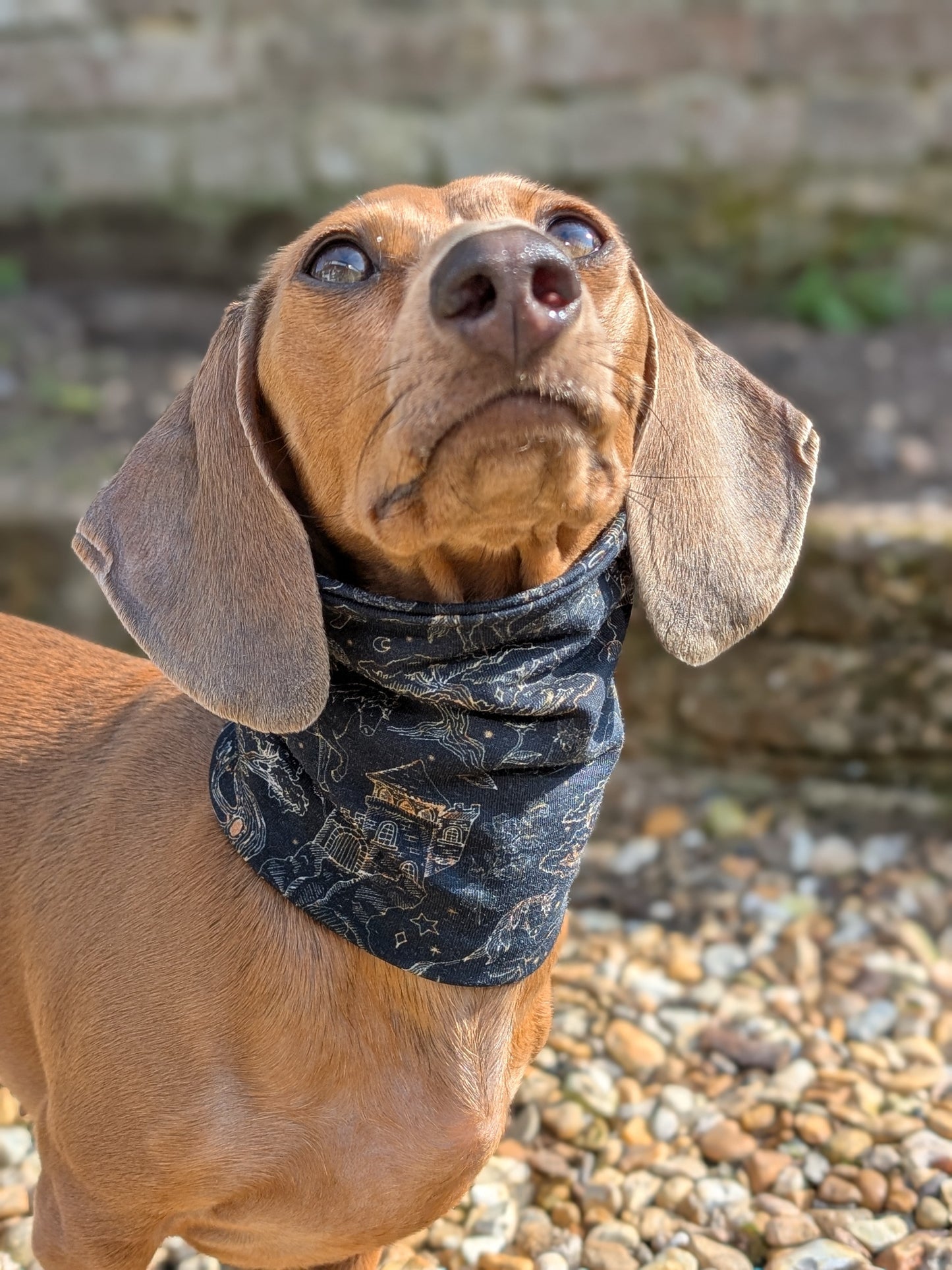 Enchanted Forest Snood