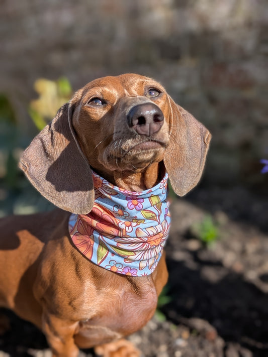 Citrus Daisies Snood (EXCLUSIVE)