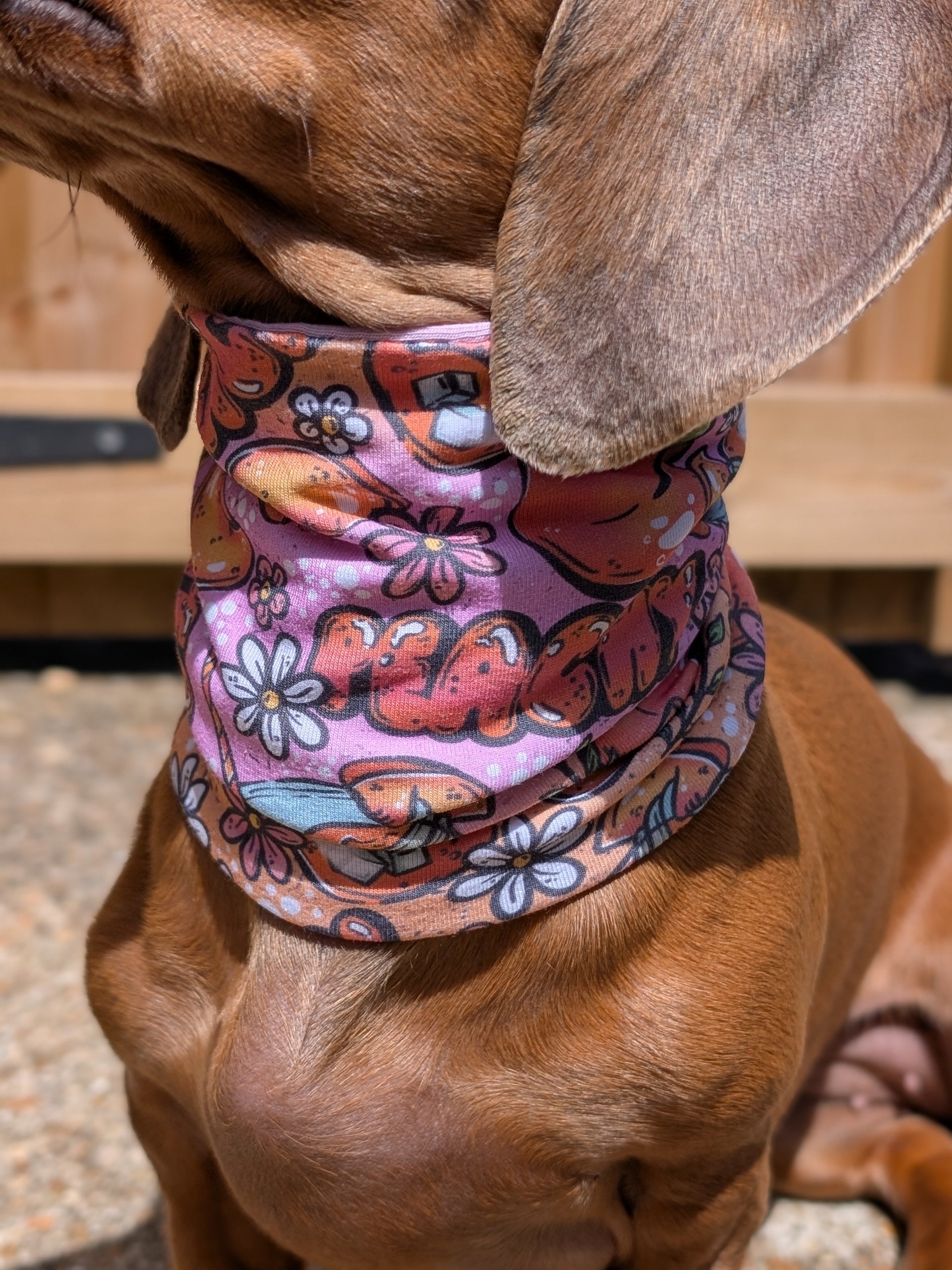 Peachy Tea Snood (EXCLUSIVE)