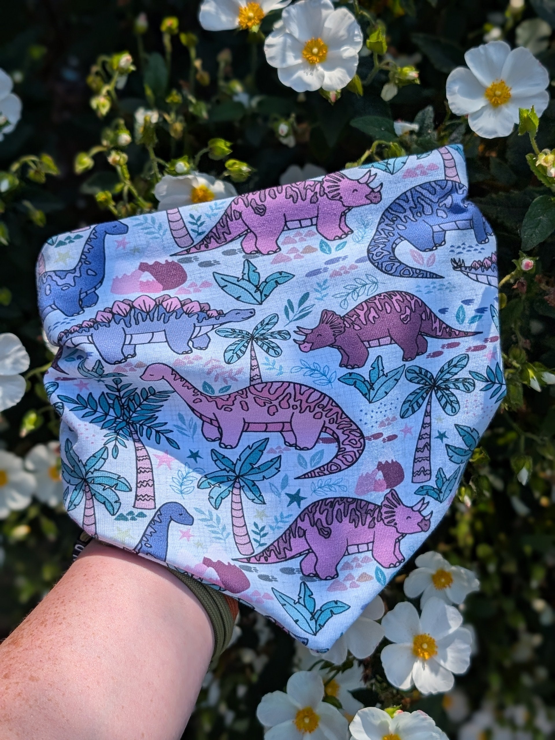 Dino Parade Bandana