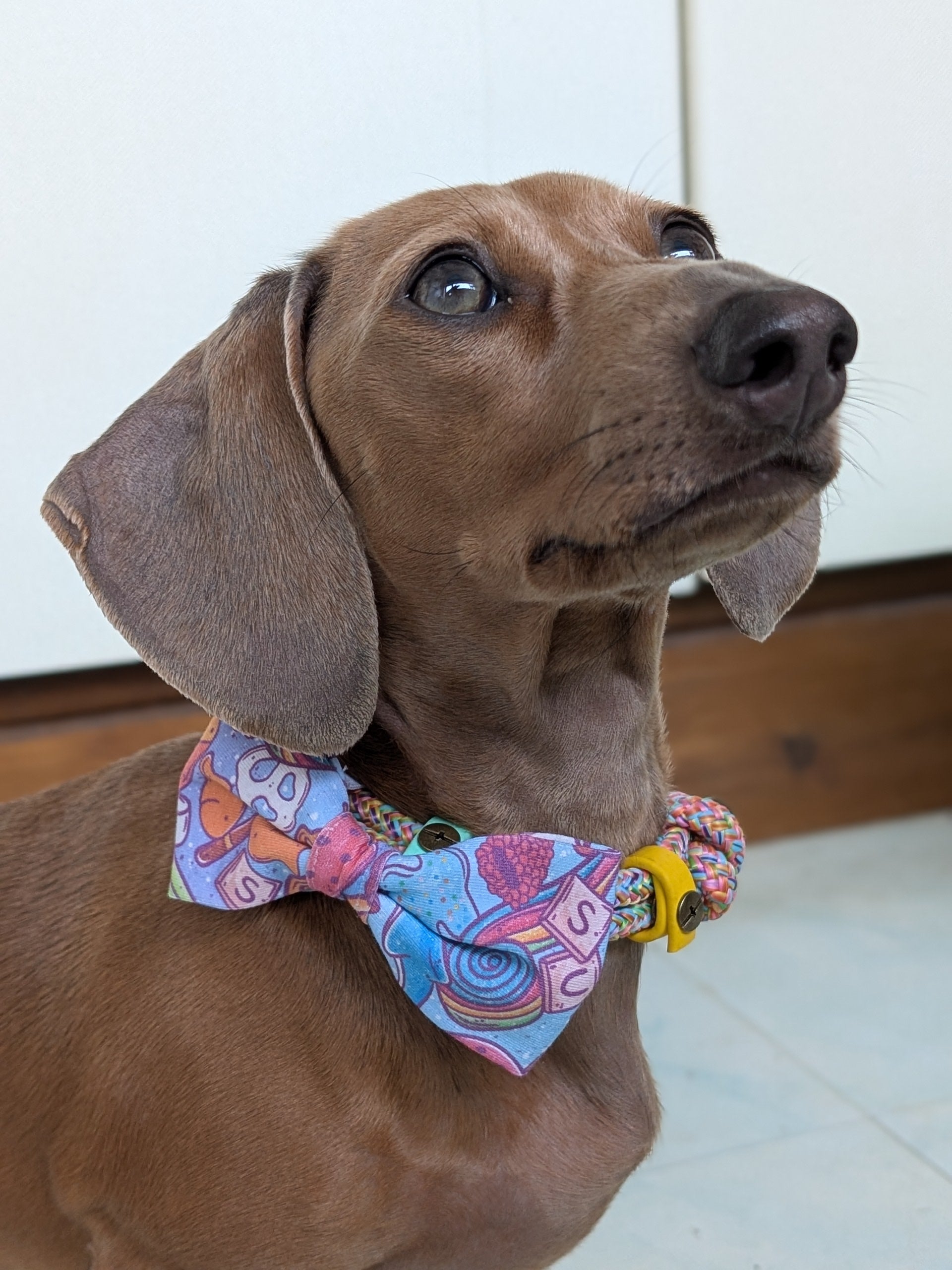 Summer Charcuterie Bow Tie (EXCLUSIVE)