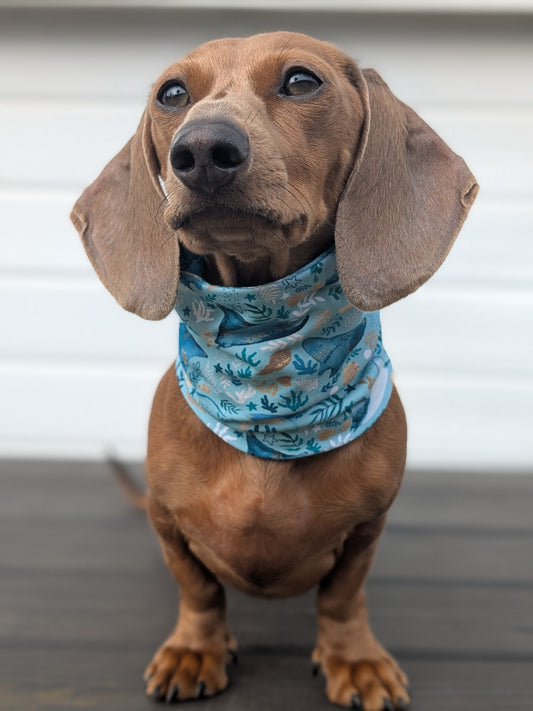 Manta Meadows Snood