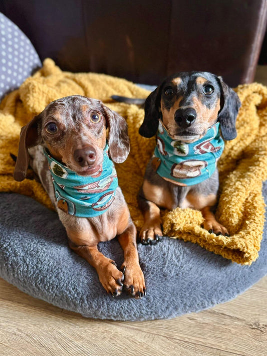 Adventure Badges Snood