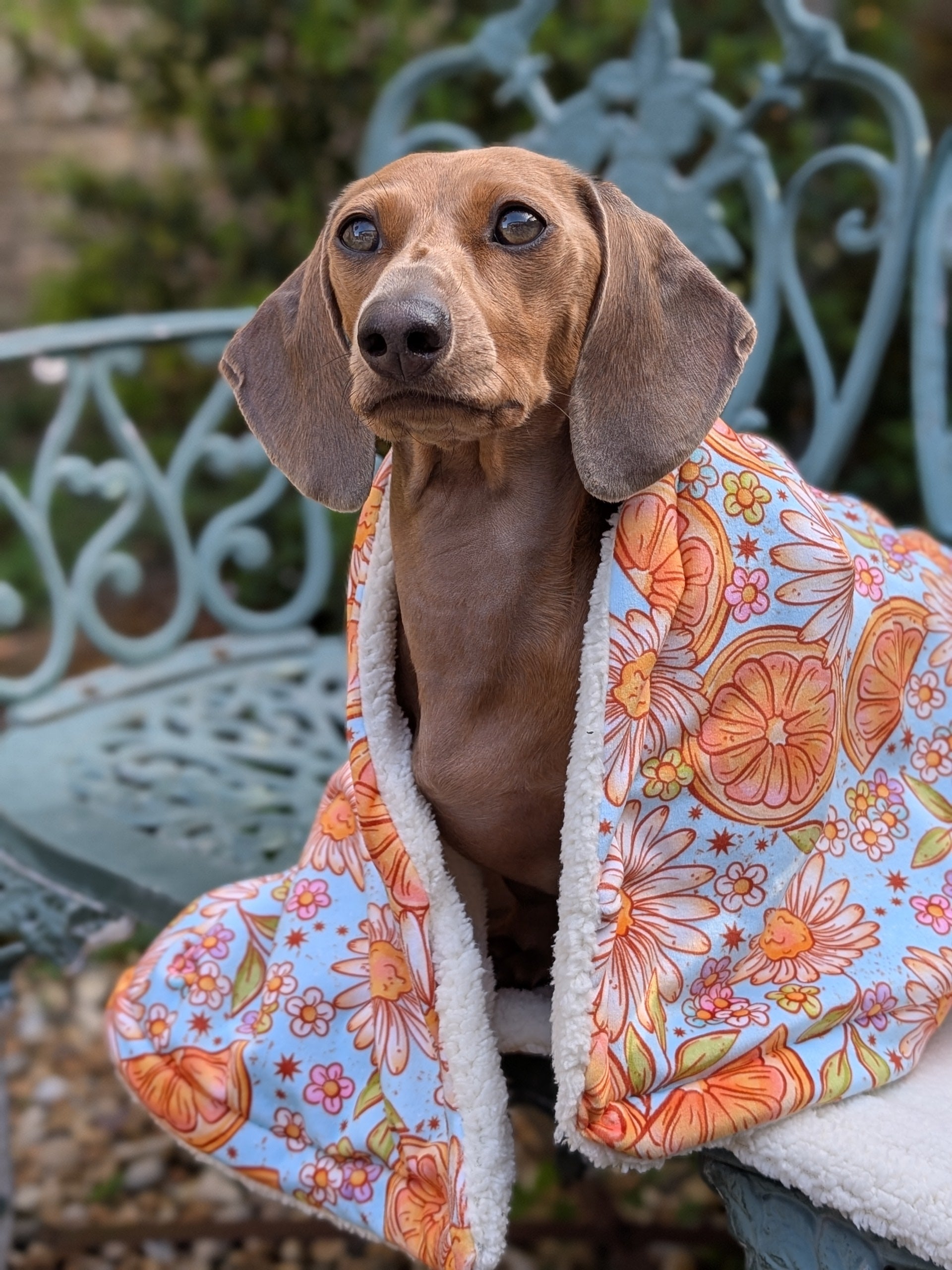 Citrus Daisies Blanket (PRE-ORDER)