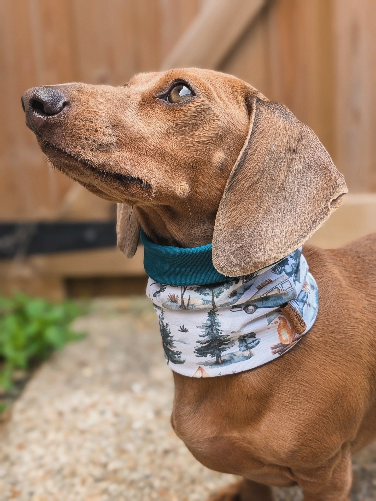 Wild Camp Snood (EXCLUSIVE)
