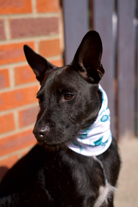 Turtle Bay Snood